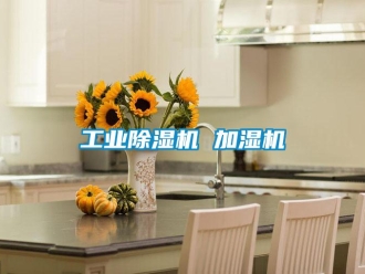 常見問題工業(yè)除濕機 加濕機