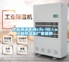 供應(yīng)潮濕車間cfz-10/s工業(yè)除濕機(jī)廠家直銷 供應(yīng)潮濕車間cfz-10/s工業(yè)除濕機(jī)廠家直銷