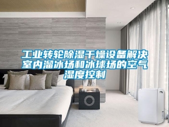 常見問題工業轉輪除濕干燥設備解決室內溜冰場和冰球場的空氣濕度控制